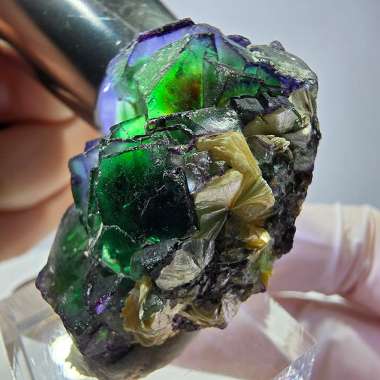 Cube de fluorite fantôme, zonal, muscovite, spécimen de tourmaline Schorl, Erongo, Namibie, 37 x 24 x 20 mm 