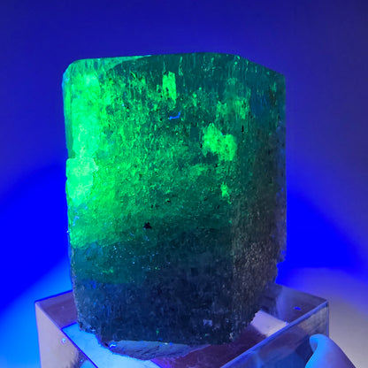 Seltener Aquamarin X mit Hyalit Einschlüssen Erongo, Namibia 30*29*24mm