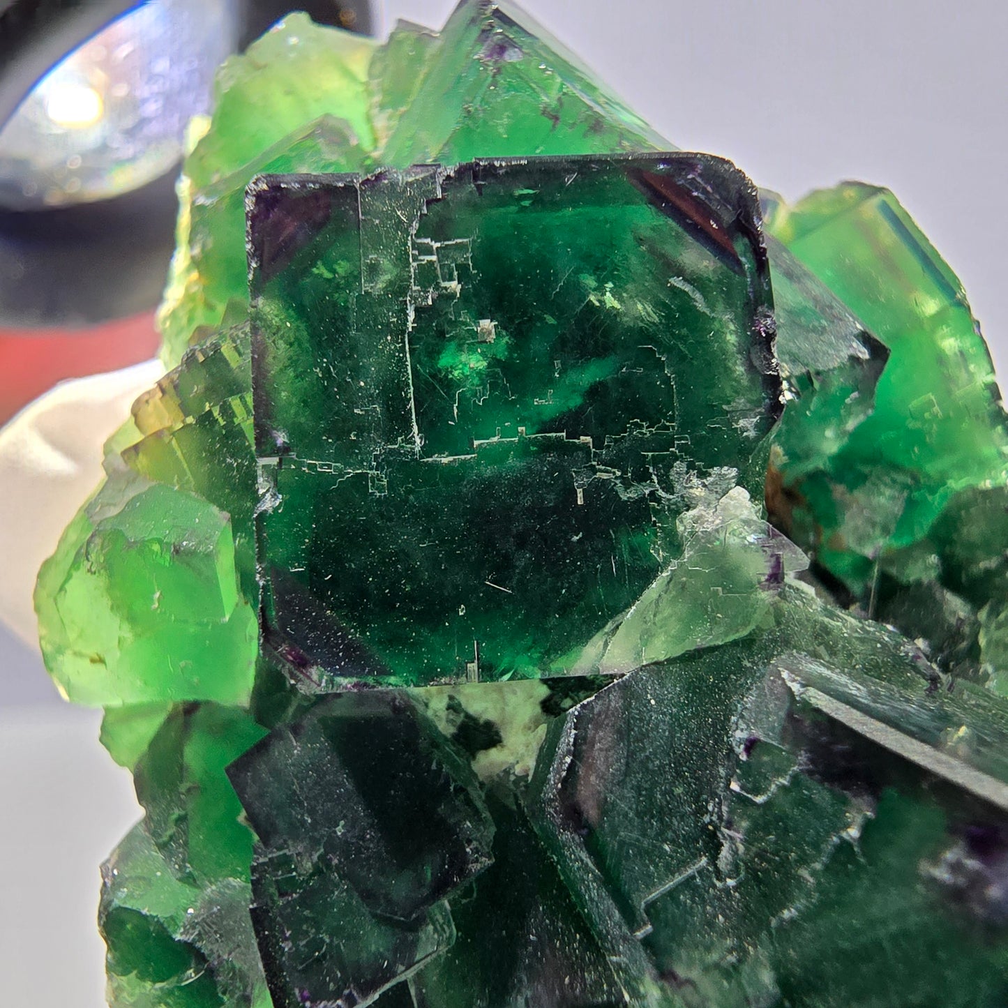 Spécimen de cube de fluorite fantôme, parqueté, zonal Okorusu, Namibie 70*45*26mm 