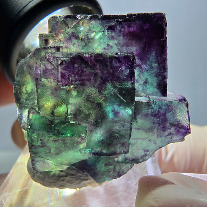 Spécimen de cube de fluorite fantôme, parqueté vert violet Okorusu, Namibie 33*25*19 mm 