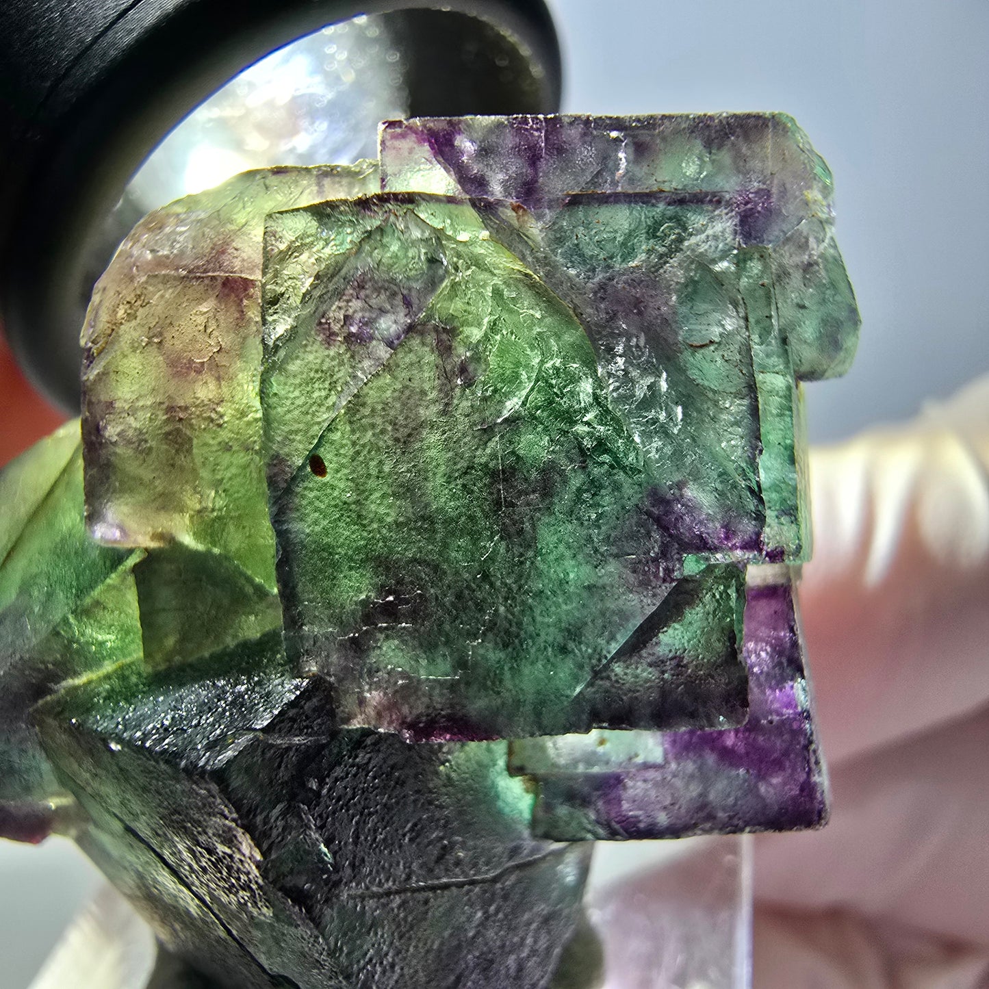 Phantom Fluorit Würfel Stufe, parkettiert grün lila Okorusu, Namibia 39*31*18mm
