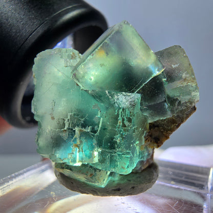Spécimen de cube de fluorite fantôme, parquet vert Okorusu, Namibie 25 x 20 x 15 mm 