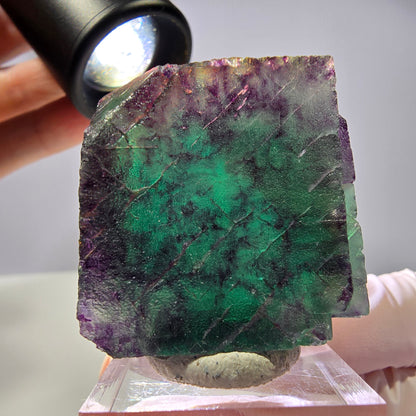 Rare cube de fluorite fantôme parqueté vert violet Okorusu Namibie 35*35*25mm 