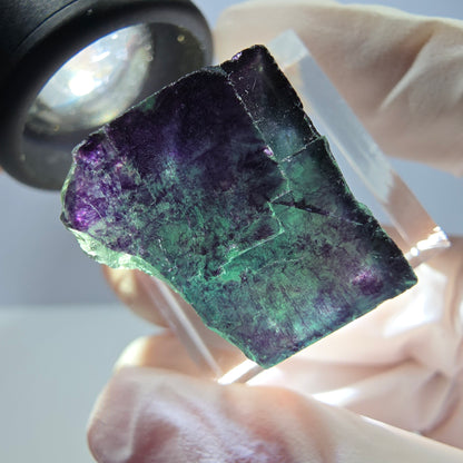Phantom Fluorit Würfel Stufe grün lila zonal 11:11 Angel Pocket, Namibia 19*19*19mm