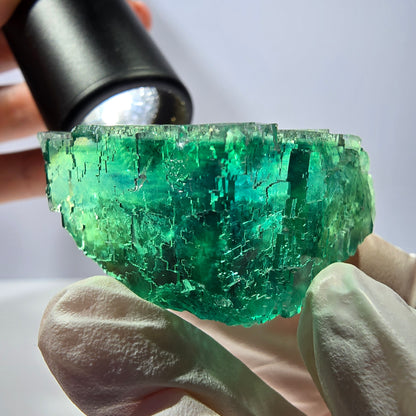 Spécimen de cube de fluorite fantôme transparente, vert parqueté, Okorusu, Namibie, 50 x 30 x 22 mm 