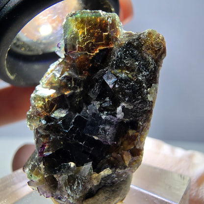 Phantom Fluorit Würfel Stufe, grün lila Okorusu, Namibia 28*24*13mm