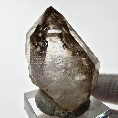 Enhydro Phantom Rauchquarz Zepter Spitze 1x Blase Goboboseb, Namibia 39*29*22mm