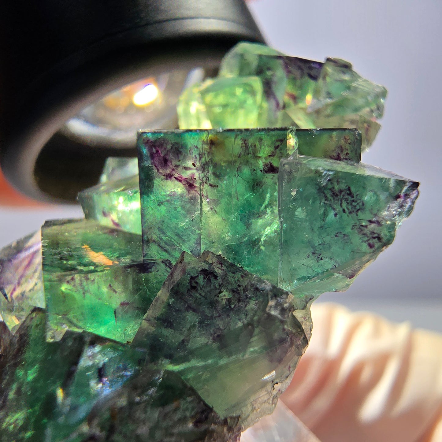 Spécimen de cube de fluorite fantôme, parqueté vert violet Okorusu, Namibie 37*22*13 mm 