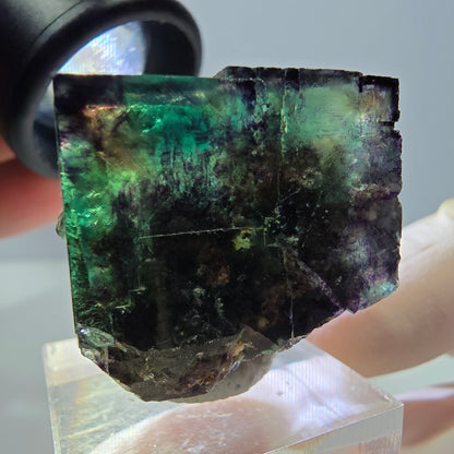 Phantom Fluorit Würfel Stufe, parkettiert grün lila Okorusu, Namibia 28*26*25mm