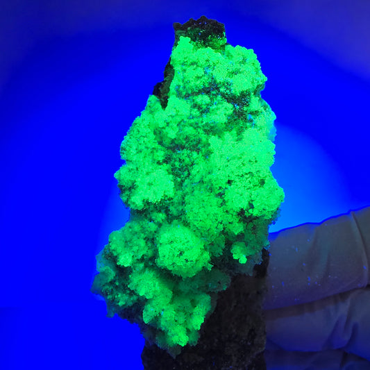 Grand spécimen d'hyalite, de tourmaline Schorl et de muscovite, Erongo, Namibie, 90 x 31 x 31 mm