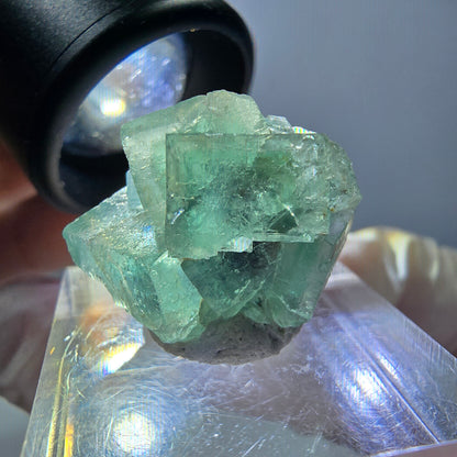 Phantom Fluorit Würfel Stufe, grün parkettiert Okorusu, Namibia 23*20*16mm