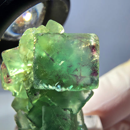 Spécimen de cube de fluorite fantôme, vert violet, Okorusu, Namibie, 34 x 27 x 13 mm 