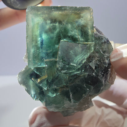 Rare cube de fluorite fantôme, spécimen de quartz vert Okorusu, Namibie 44 x 41 x 39 mm 
