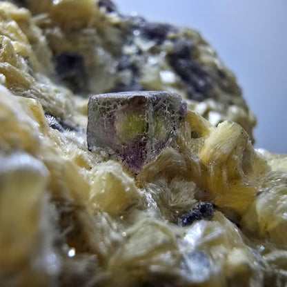 Cubes de fluorite fantôme colorés, spécimen de muscovite, Erongo, Namibie, 79 x 62 x 25 mm 
