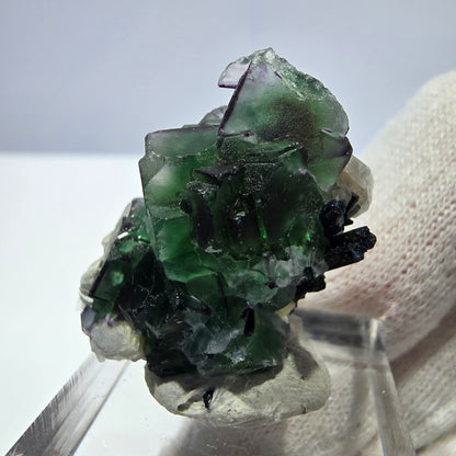 Fluorite fantôme zonale, muscovite, tourmaline Schörl, quartz fumé Erongo, Namibie 31*18*13mm 