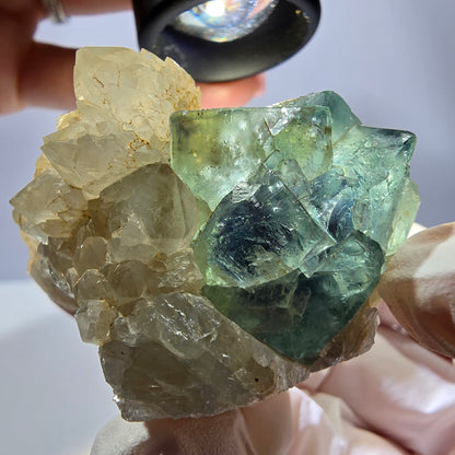 Rare cube de fluorite fantôme, spécimen de quartz vert violet Okorusu Namibie 53*35*38mm 