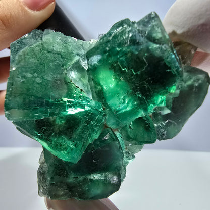 Spécimen de cube de fluorite fantôme transparente, vert parqueté, Okorusu, Namibie, 60 x 51 x 26 mm 