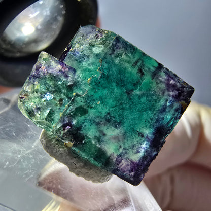 Phantom Fluorit Würfel Stufe, parkettiert grün lila Okorusu, Namibia 18*15*13mm