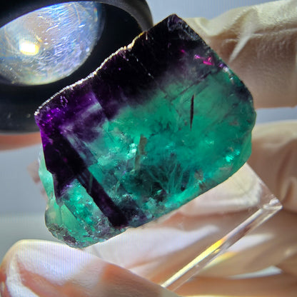 Phantom Fluorit Würfel Stufe, parkettiert grün lila Okorusu, Namibia 23*23*15mm