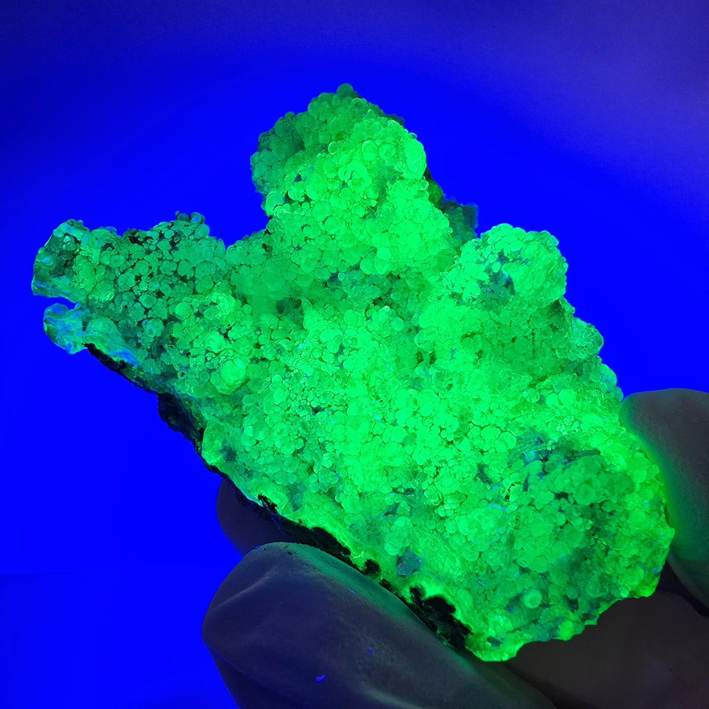Spécimen rare d'opale hyalite et de tourmaline Schorl, Erongo, Namibie, 62 x 43 x 21 mm 