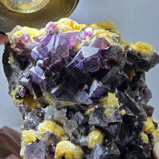 Fluorite fantôme colorée, tourmaline schol, hyalite, muscovite, Erongo, Namibie, 62 x 58 x 54 mm