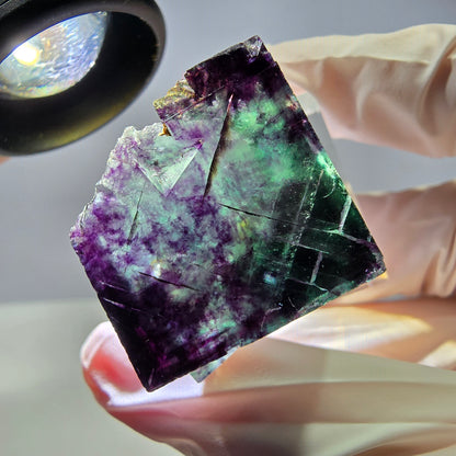 Rare cube de fluorite fantôme parqueté vert violet Okorusu Namibie 24*24*24mm 