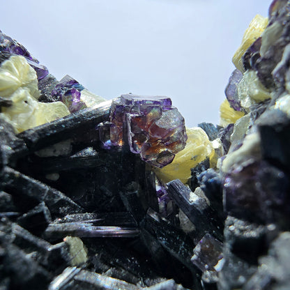 Fluorite fantôme colorée, tourmaline schol, muscovite, quartz fumé, Erongo, Namibie, 99 x 80 x 51 mm 