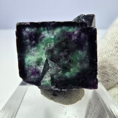 Rare spécimen de cube de fluorite fantôme, vert zonal et violet, Okorusu, Namibie, 30 x 23 x 19 mm 