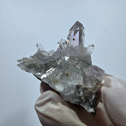 Quartz Harlequin rare, spécimen de chlorite, mine Streep, Goboboseb, Namibie, 46 x 32 x 28 mm 
