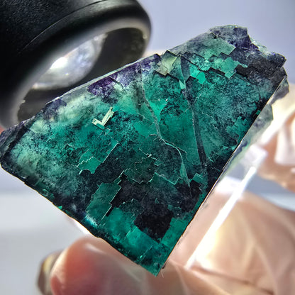 Phantom Fluorit Würfel parkettiert, grün lila Okorusu, Namibia 29*23*22mm