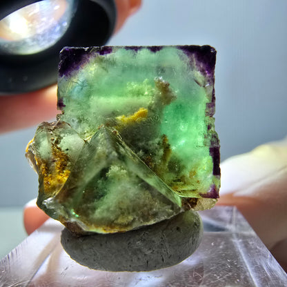 Phantom Fluorit Würfel Stufe, parkettiert, zonal Okorusu, Namibia 25*21*18mm