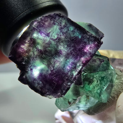 Phantom Fluorit Würfel Stufe, parkettiert grün lila Okorusu, Namibia 30*28*16mm