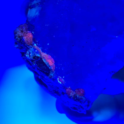 Sceptre squelette en quartz fumé Enhydro, calcite UV Valentine Pocket Goboboseb Namibie 77 x 44 x 38 mm 