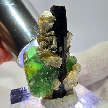 Cube de fluorite fantôme, muscovite et tourmaline Schorl, spécimen d'Erongo, Namibie, 29 x 19 x 17 mm 