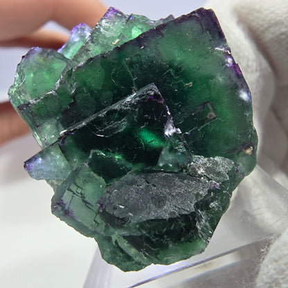 Phantom Fluorit Würfel Stufe parkettiert zonal Okorusu, Namibia 40*32*25mm