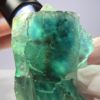 Spécimen de cube de fluorite fantôme transparente, vert parqueté, Okorusu, Namibie, 60 x 45 x 24 mm 
