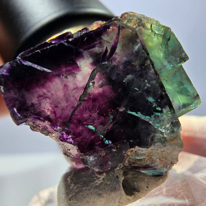 Spécimen de cube de fluorite fantôme, parqueté vert violet Okorusu, Namibie 22 x 20 x 19 mm 