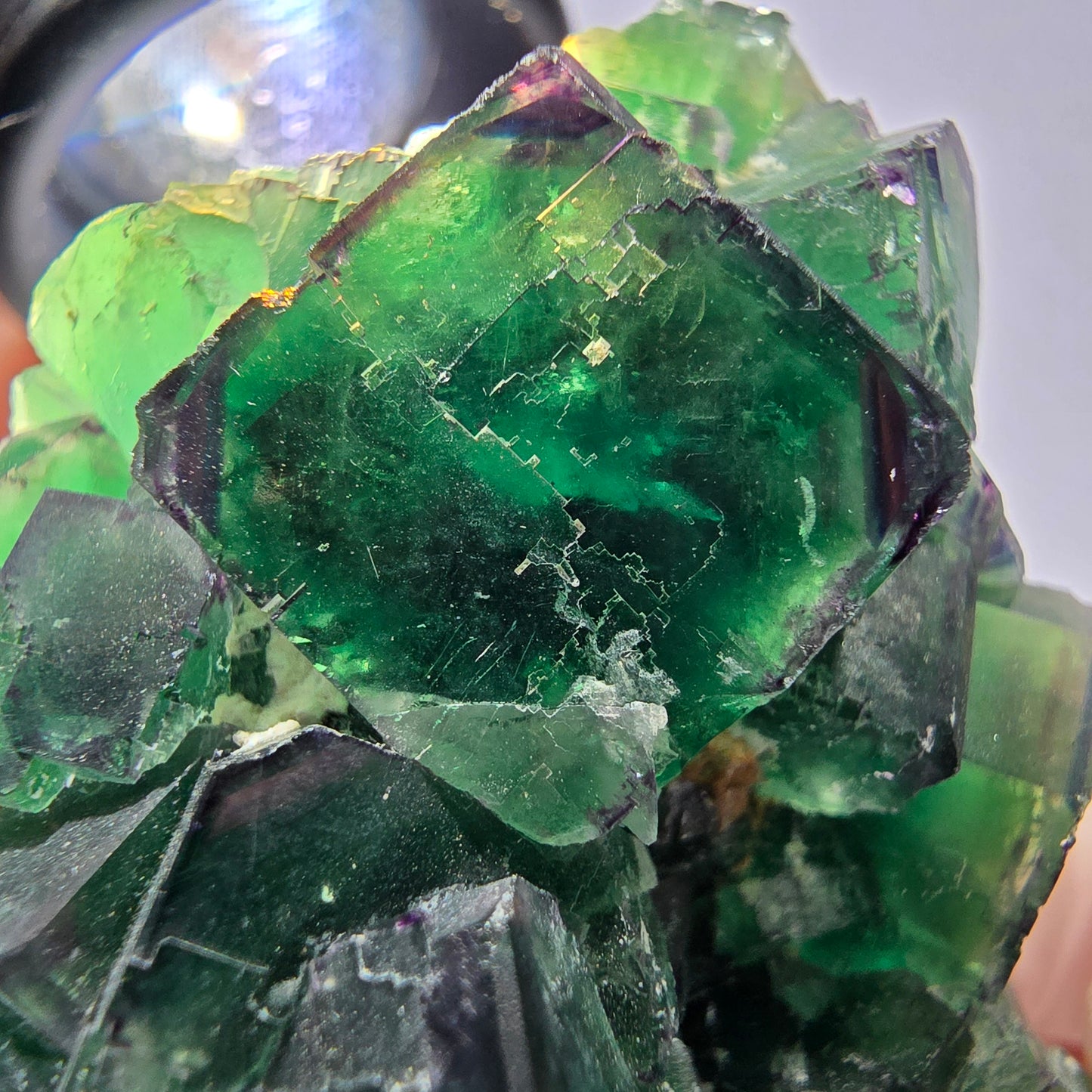 Spécimen de cube de fluorite fantôme, parqueté, zonal Okorusu, Namibie 70*45*26mm 