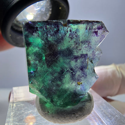 Phantom Fluorit Würfel Stufe, parkettiert grün lila Okorusu, Namibia 22*21*20mm