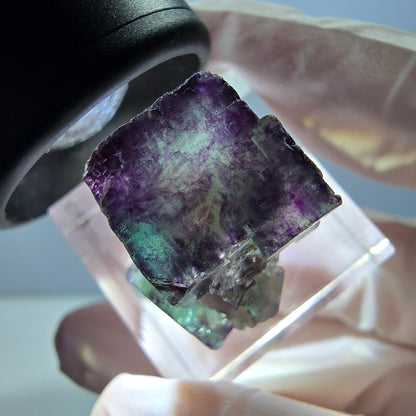 Spécimen de cube de fluorite fantôme, parqueté vert violet Okorusu, Namibie 25*19*15 mm 