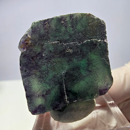 Rare cube de fluorite fantôme parqueté vert violet Okorusu Namibie 31*27*17mm 