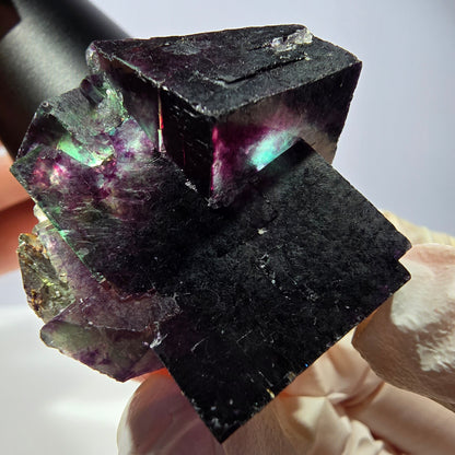 Spécimen de cube de fluorite fantôme, parqueté vert violet Okorusu, Namibie 40*35*29 mm 