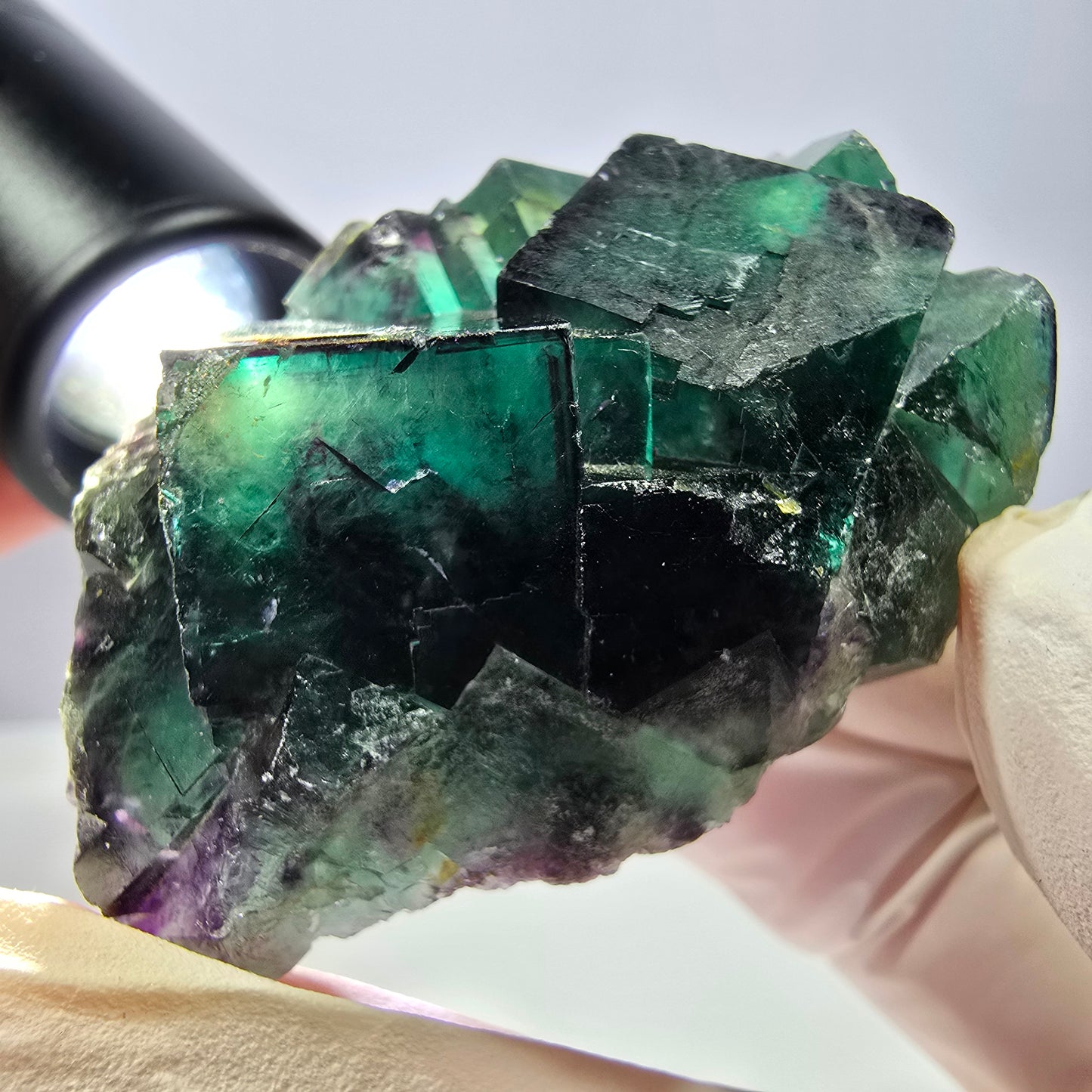 Spécimen de cube de fluorite fantôme, parqueté vert violet Okorusu, Namibie 54*40*27 mm 