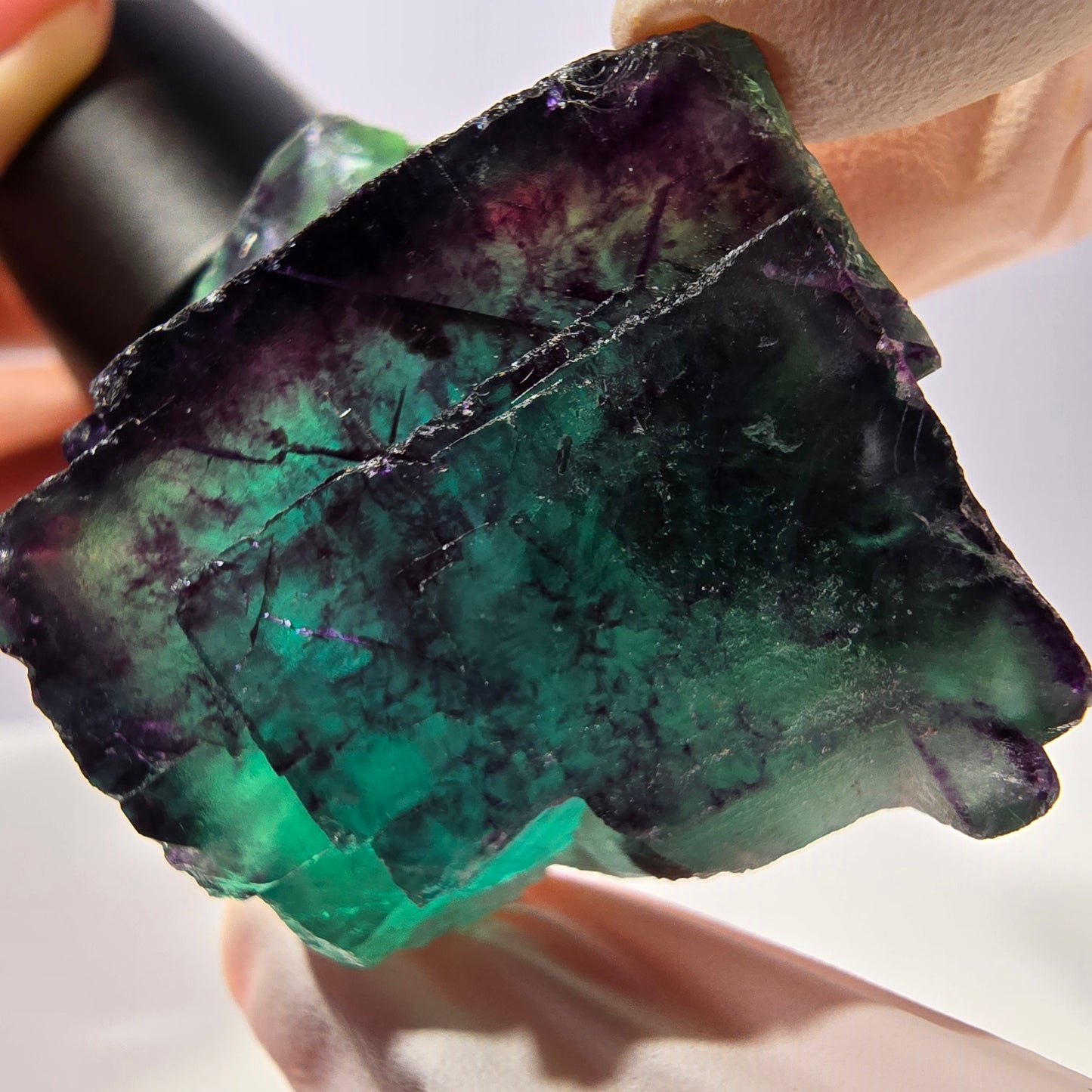 Spécimen de cube de fluorite fantôme, parqueté vert violet Okorusu, Namibie 41*41*25 mm 