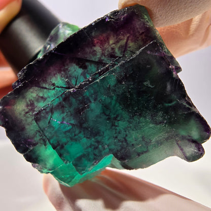 Spécimen de cube de fluorite fantôme, parqueté vert violet Okorusu, Namibie 41*41*25 mm 
