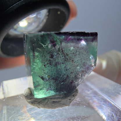 Phantom Fluorit Würfel Stufe, parkettiert grün lila Okorusu, Namibia 14*13*12mm