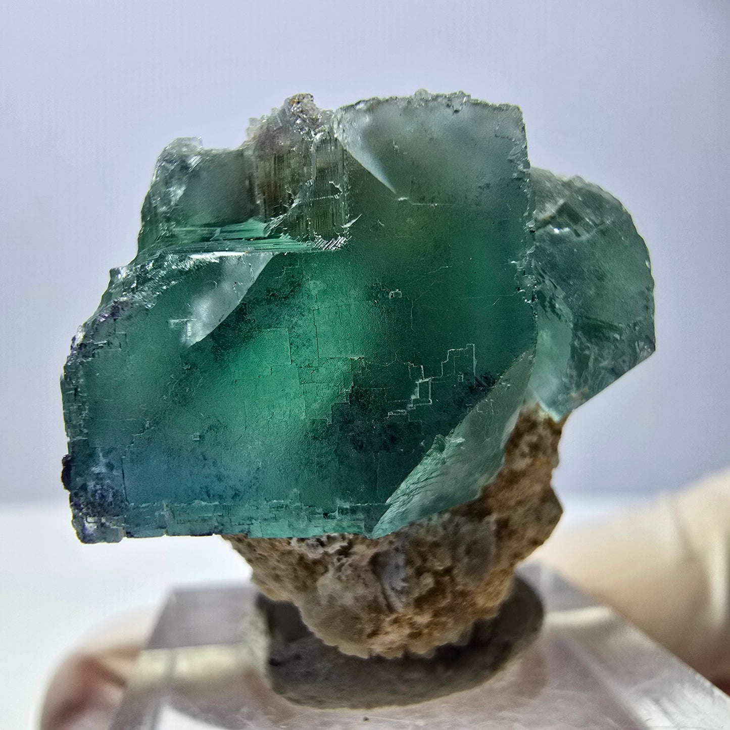 Spécimen de cube de fluorite fantôme, parquet vert Okorusu, Namibie 34*29*28 mm 