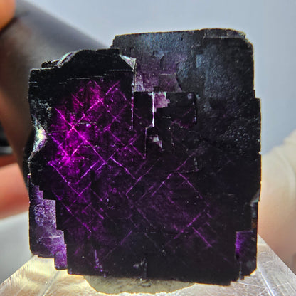 Phantom Fluorit Würfel Stufe grün lila zonal 11:11 Angel Pocket, Namibia 22*22*20mm
