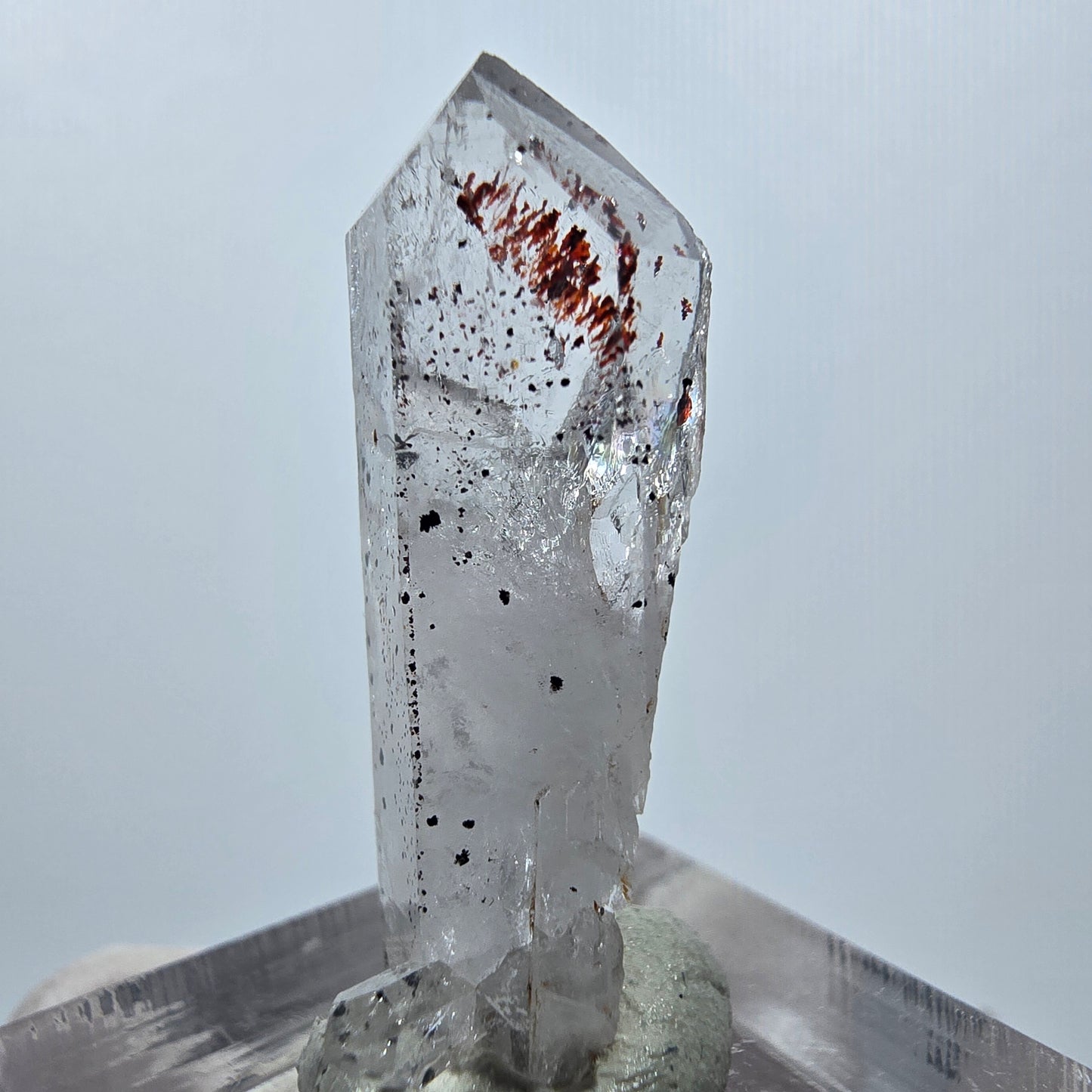 Quartz clair Harlequin Point Streep Mine, Goboboseb, Namibie 32 x 10 x 10 mm 