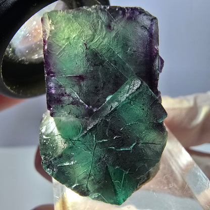 Spécimen de cube de fluorite fantôme, parqueté vert violet Okorusu, Namibie 32*23*16 mm 